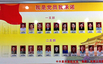 欧博abg官网集团党委开展党员承诺活动
